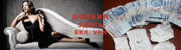 spice Алзамай