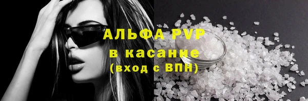 стаф Алексин