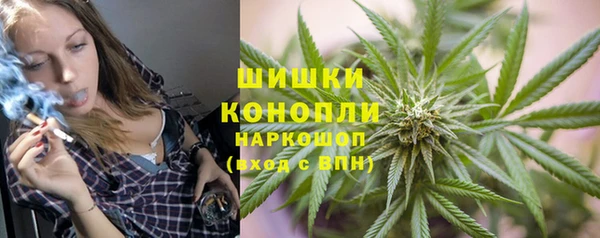 spice Алзамай