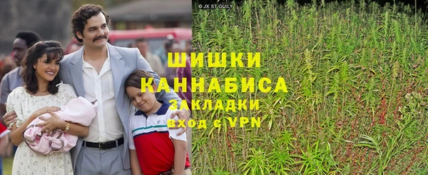 spice Алзамай