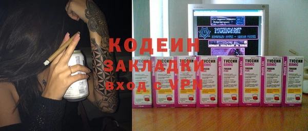 мяу мяу мука Иннополис