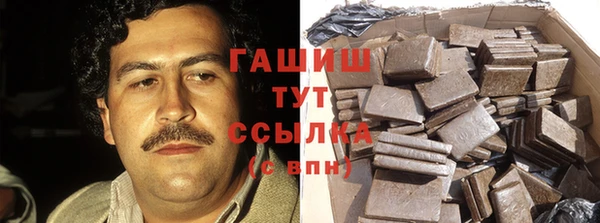 стаф Алексин