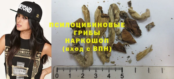 стаф Алексин