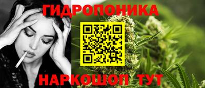 стафф Боровичи